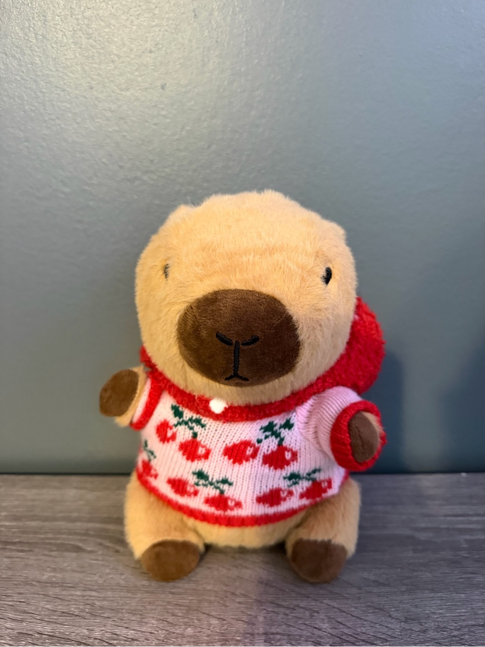 NWOT Capybara Plush in Cherry Outfit